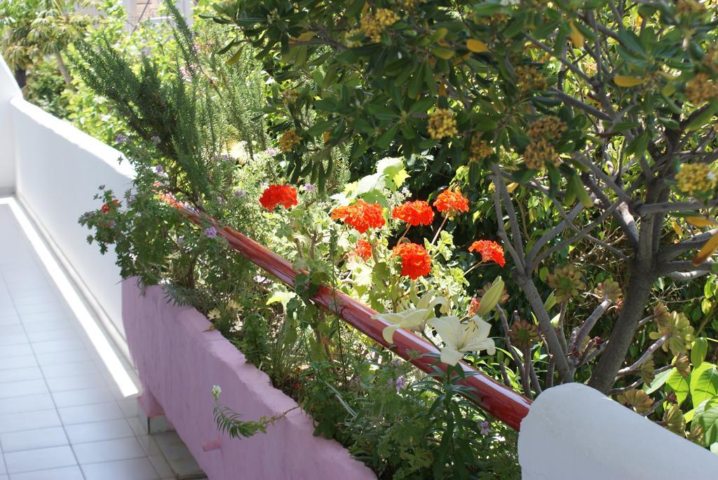 Stam & John Apartments Kos By Eksteriør billede